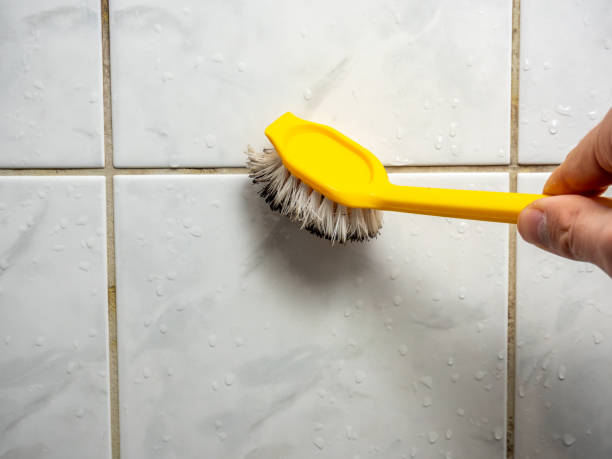 Best Residential Mold Removal  in Palmview, TX