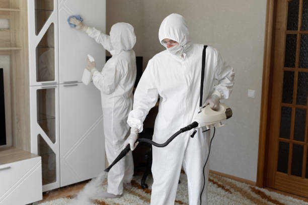 Mold Testing and Removal in Palmview, TX