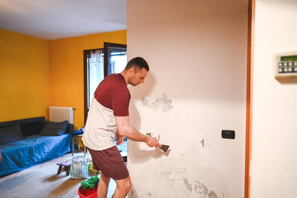 Best Mold Testing  in Palmview, TX